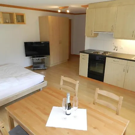 公寓 Rinderbergblick Studio- Dusche- Wc 2-bettwohnung By Interhome 茨魏西门